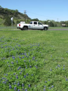 Photo by H.S. Cooper © Chevy with TX Bluebonnets (TX)